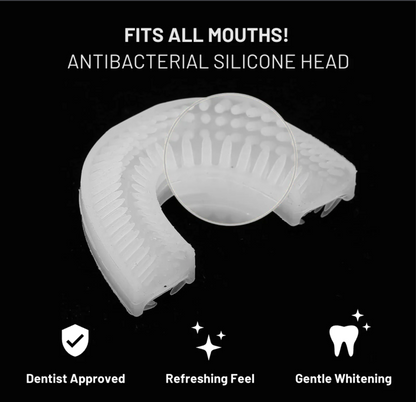 FlosslQ™ Toothbrush